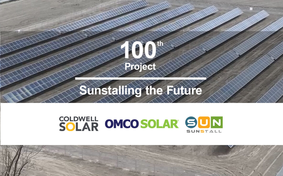 Celebrating Project 100