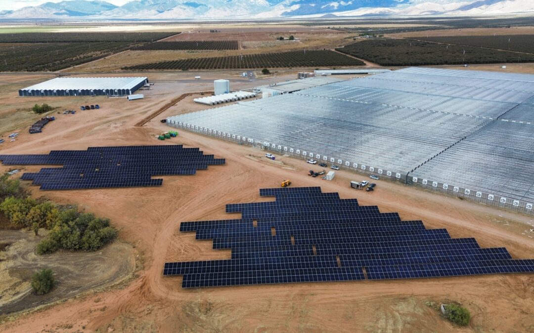 Repeal of clean energy investments spells disaster for U.S. energy dominance